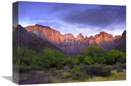 Global Gallery GCS-452139-1216-142 12 x 16 in. Towers of the VIrgin&#4