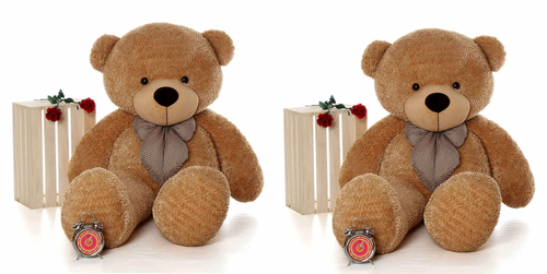 Soft Lovable Huggable Cute Teddy Bear Pack of 2