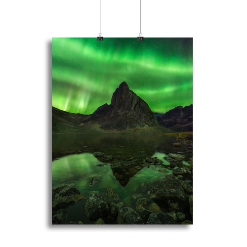 Blaze of Beauty Canvas Print or Poster