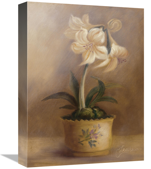 Global Gallery GCS-121174-1216-142 12 x 16 in. Olivias Flowers IV Art 