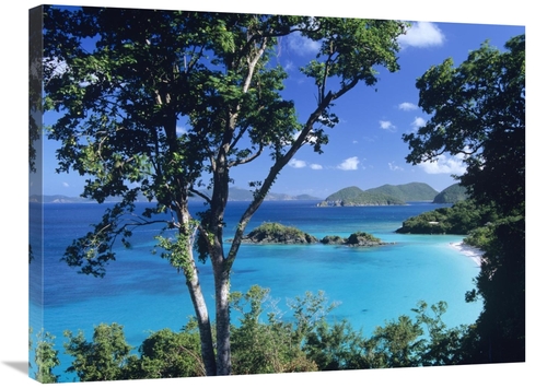 Global Gallery GCS-396489-2432-142 24 x 32 in. Caribbean Seen Through 