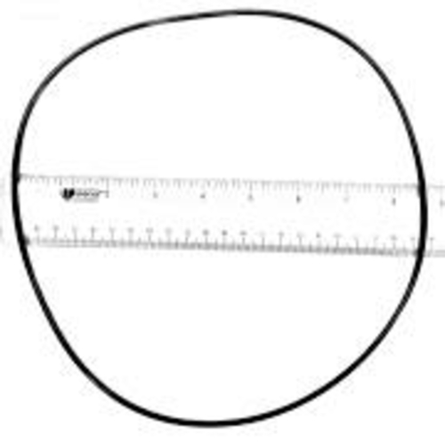 Baystate PVP85 O-Ring Seal Plate
