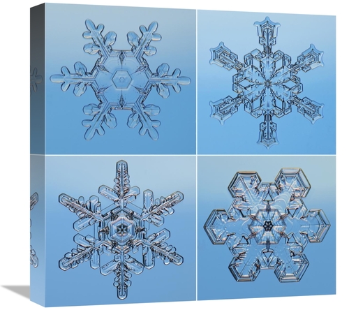 Global Gallery GCS-397283-1818-142 18 x 18 in. Snowflakes Seen Through