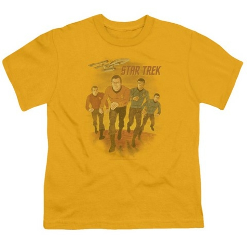 Trevco Star Trek-Animated - Short Sleeve Youth 18-1 Tee - Gold, Ex