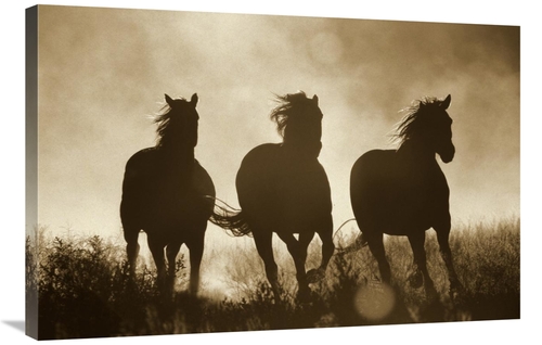 Global Gallery GCS-398470-2436-142 24 x 36 in. Domestic Horse Trio Run