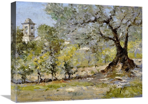 Global Gallery GCS-267845-22-142 22 in. Olive Trees in Florence Art Pr