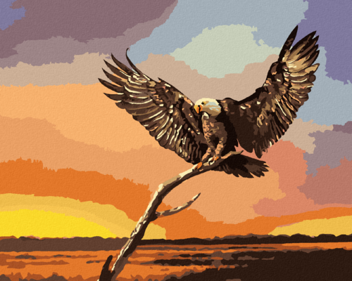 Zuty - Paint by Numbers - EAGLE ON A BRANCH (D. RUSTY RUST), 40x50 cm