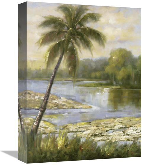 Global Gallery GCS-127698-1216-142 12 x 16 in. Island Tropics L Art Pr