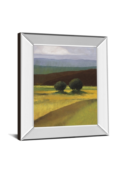 Classy Art 8593MF 22 x 26 in. Field of Light by Judith DAgostino Mirro