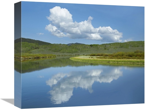 Global Gallery GCS-396828-16-142 16 in. Cumulus Clouds Over Green Rive