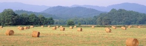 Panoramic Images PPI31122L Hay bales in a field  Murphy  North Carolin