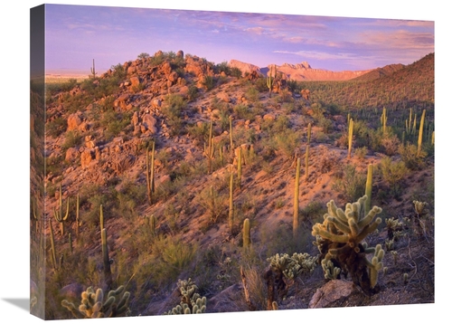 Global Gallery GCS-395942-1824-142 18 x 24 in. Panther & Safford Peaks