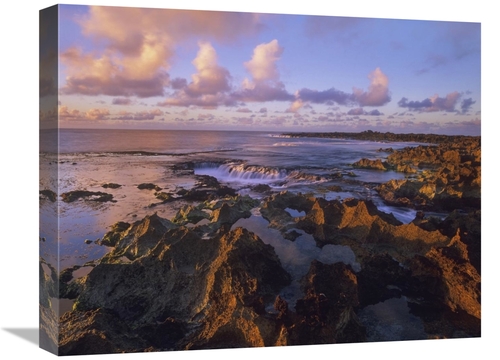 Global Gallery GCS-396016-1620-142 16 x 20 in. Dusk at Sharks Cove&#44