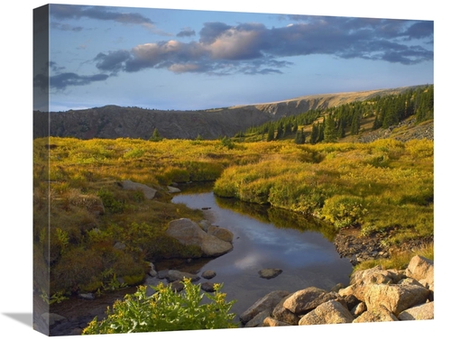 Global Gallery GCS-396425-22-142 22 in. Alpine Stream, Rollins Pas