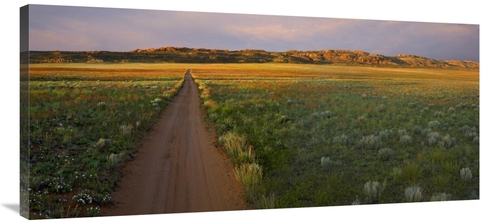 Global Gallery GCS-396711-44-142 44 in. Dirt Road & Globemallows Salt 