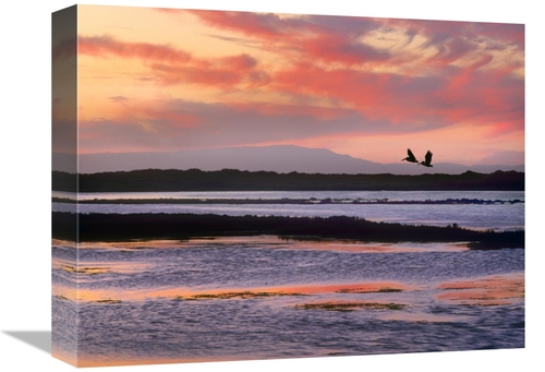 Global Gallery GCS-396412-1216-142 12 x 16 in. Brown Pelican Pair Flyi