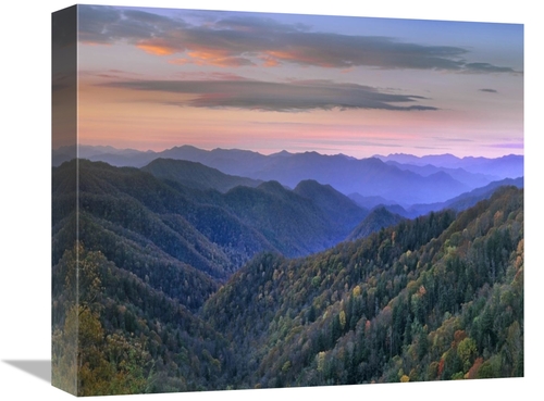 Global Gallery GCS-397171-16-142 16 in. Deciduous Forest Covering Moun