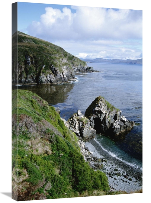 Global Gallery GCS-451459-2030-142 20 x 30 in. Cape Horn National Park