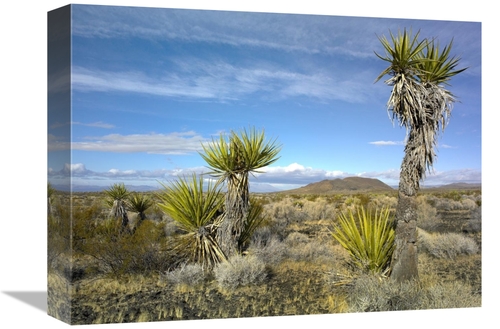 Global Gallery GCS-397106-1216-142 12 x 16 in. Cinder Cones, Joshu