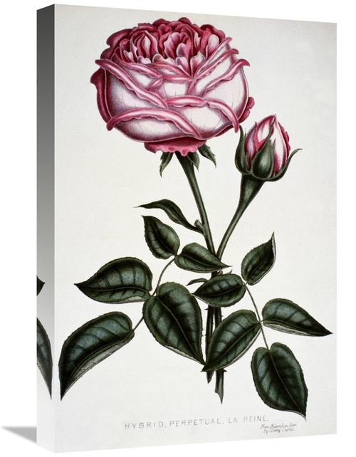 Global Gallery GCS-277232-22-142 22 in. Hybrid, Perpetual, La 