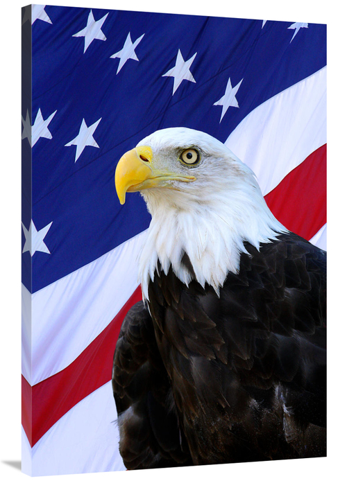 Global Gallery GCS-486524-40-142 40 in. The Patriot Art Print - Vic Sc