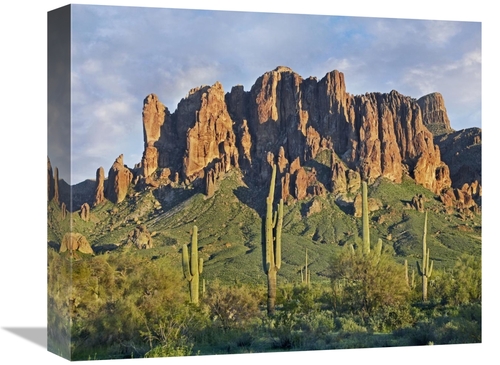 Global Gallery GCS-396908-16-142 16 in. Saguaro Cacti & Superstition M