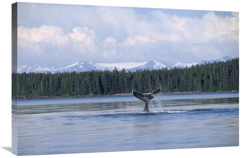 Global Gallery GCS-450805-2436-142 24 x 36 in. Humpback Whale Tail&#44