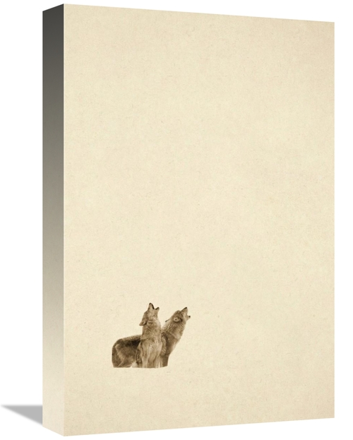 Global Gallery GCS-450501-1218-142 12 x 18 in. Timber Wolf Pair Howlin