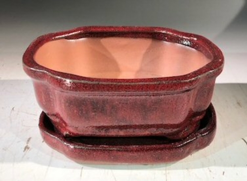 Parisian Red  Ceramic Bonsai Pot -RectangleWith Humidity Drip Tray6" x