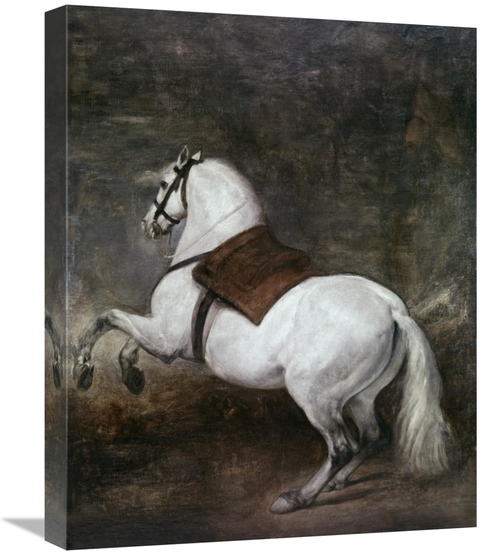 Global Gallery GCS-281402-22-142 22 in. A White Horse Art Print - Dieg