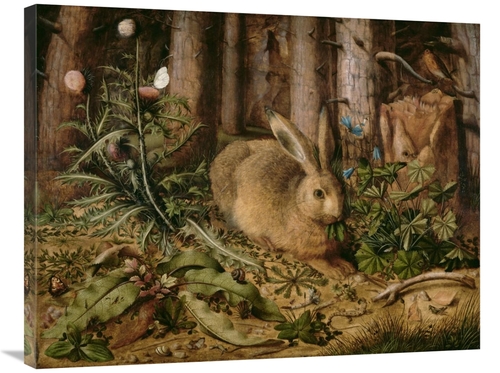 Global Gallery GCS-459883-2835-142 28 x 35 in. A Hare in the Forest Ar