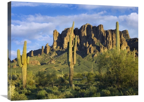 Global Gallery GCS-396947-2432-142 24 x 32 in. Saguaro Cacti & Superst