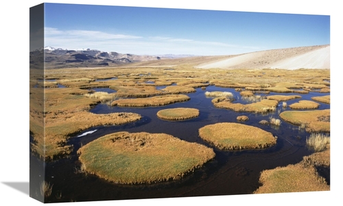 Global Gallery GCS-451494-1218-142 12 x 18 in. Andean Bofedal Near Sou