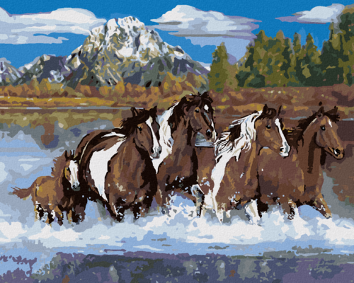Zuty - Paint by Numbers – HERD OF HORSES IN WATER AND MOUNTAINS