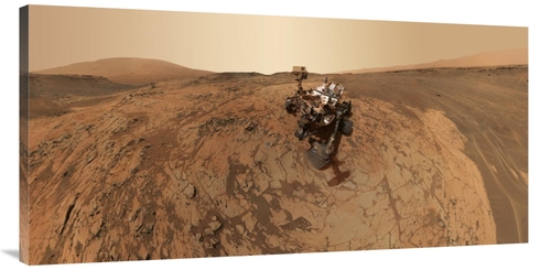 Global Gallery GCS-459305-2448-142 24 x 48 in. Curiosity Self-Portrait