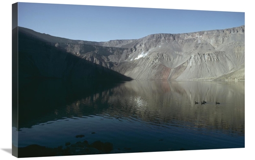 Global Gallery GCS-451227-2436-142 24 x 36 in. White-Cheeked Pintail D