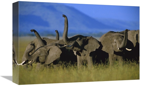 Global Gallery GCS-396209-1218-142 12 x 18 in. African Elephant Herd S