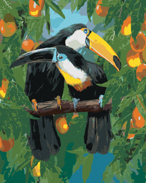 Zuty - Paint by Numbers - TOUCAN ON A BRANCH AND FRUIT (CAROL