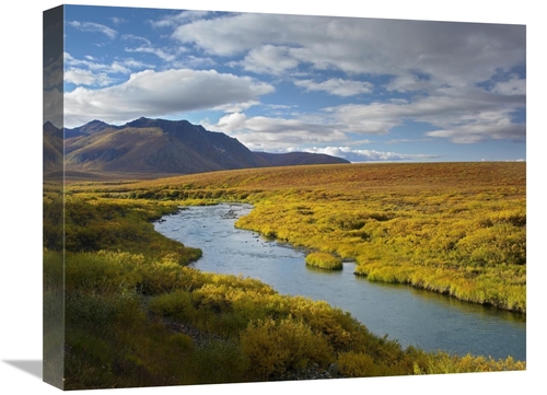 Global Gallery GCS-397149-1620-142 16 x 20 in. North Klondike River Fl