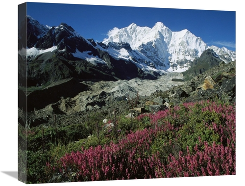 Global Gallery GCS-463210-22-142 22 in. Wildflowers & Kangshung Glacie