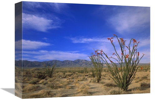 Global Gallery GCS-396991-1216-142 12 x 16 in. Ocotillo & the Vallecit