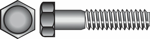 ACEDS 59081 0.25 x 1 in. NC Stainless Steel Hex Bolt