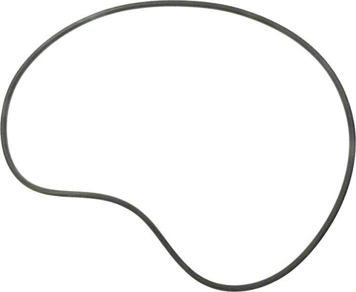 ALA-PT APCO2160 Swimquip Tank O-Ring