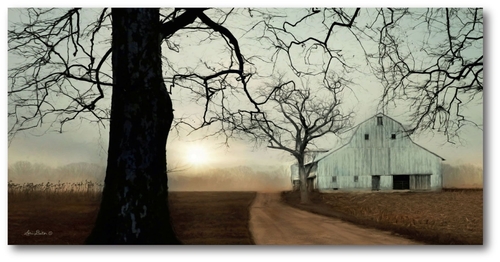 Courtside Market WEB-FF1370-12x24 12 x 24 in. Old Oak Gallery-Wrapped 