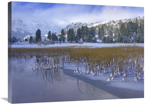 Global Gallery GCS-396856-2432-142 24 x 32 in. June Lake & Clearing St