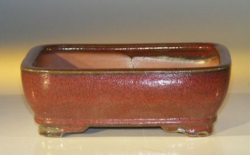 Parisian Red Ceramic Bonsai Pot - Rectangle7.0" x 5.5" x 2.375"