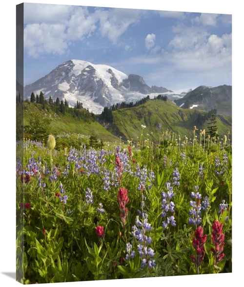 Global Gallery GCS-396889-2432-142 24 x 32 in. Paradise Meadow & Mount