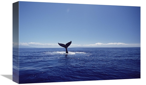 Global Gallery GCS-451030-1218-142 12 x 18 in. Humpback Whale Tail Lob