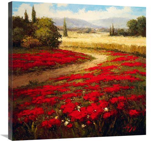 Global Gallery GCS-132507-3030-142 30 x 30 in. Red Poppy Trail Art Pri
