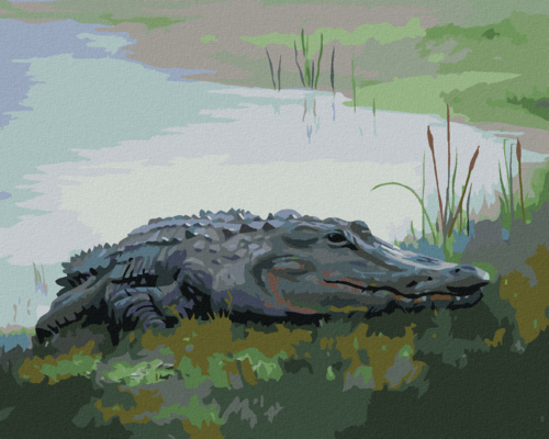 Zuty - Paint by Numbers - ALLIGATOR LYING BY THE WATER VI (D. RUSTY